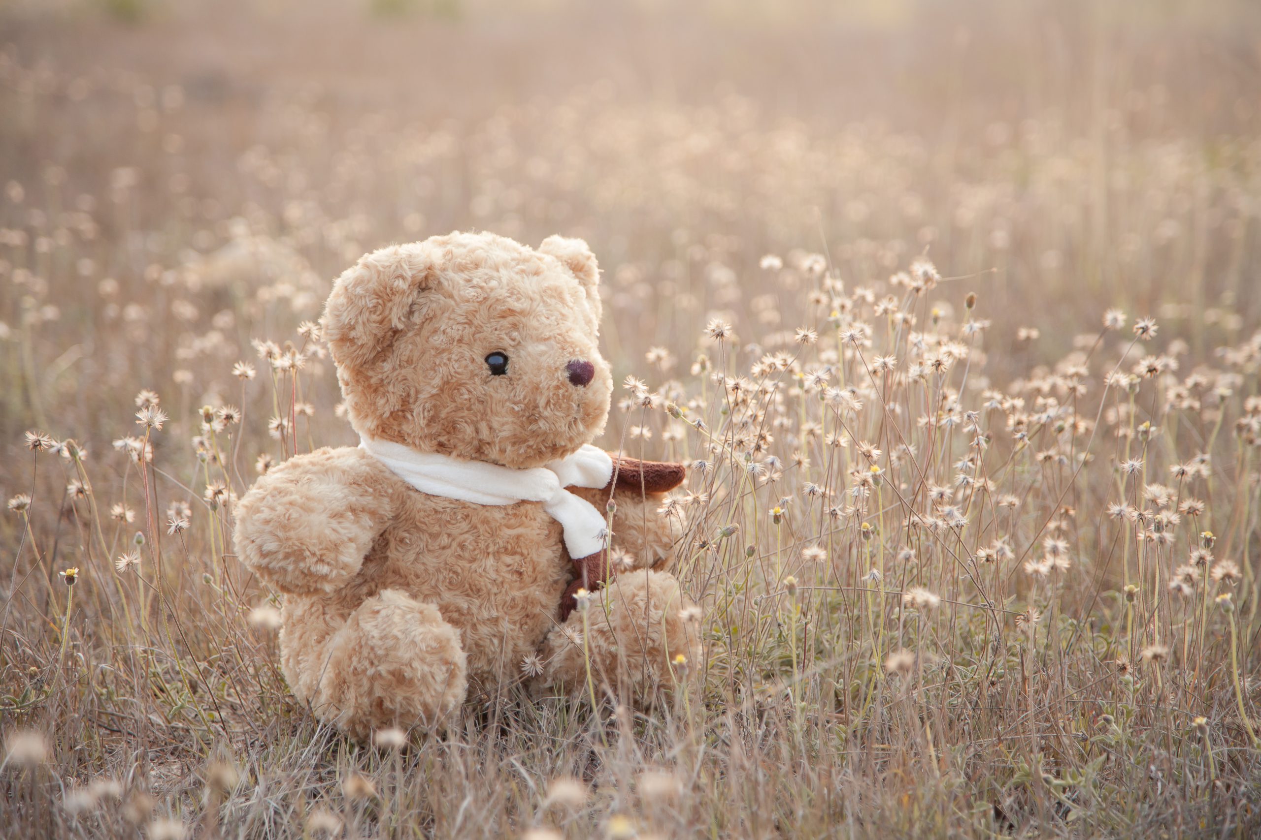 shutterstock_387139366-Kindjes 46